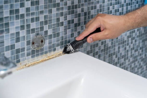 Best Office Mold Removal Services  in Gulf Shores, AL